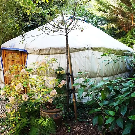 Shantee House אכסניה *