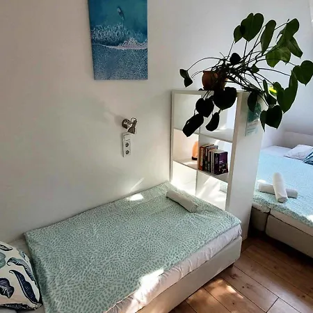 Shantee House אכסניה