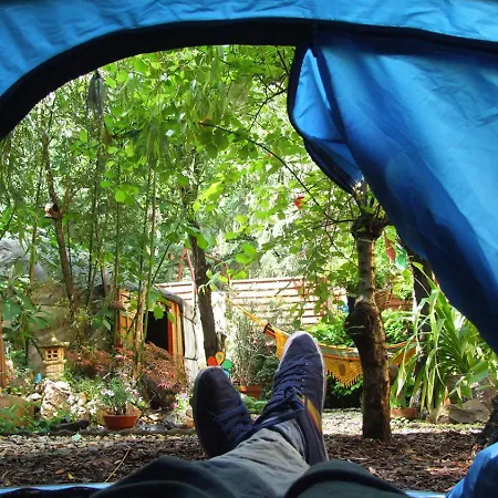 Hostel Shantee House *