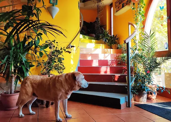 Shantee House Hostel *