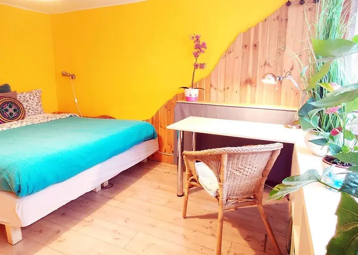 Hostel Shantee House *