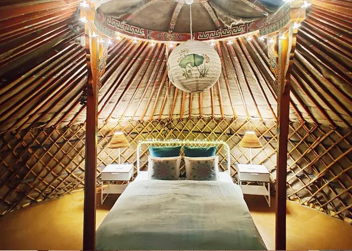 Hostel Shantee House