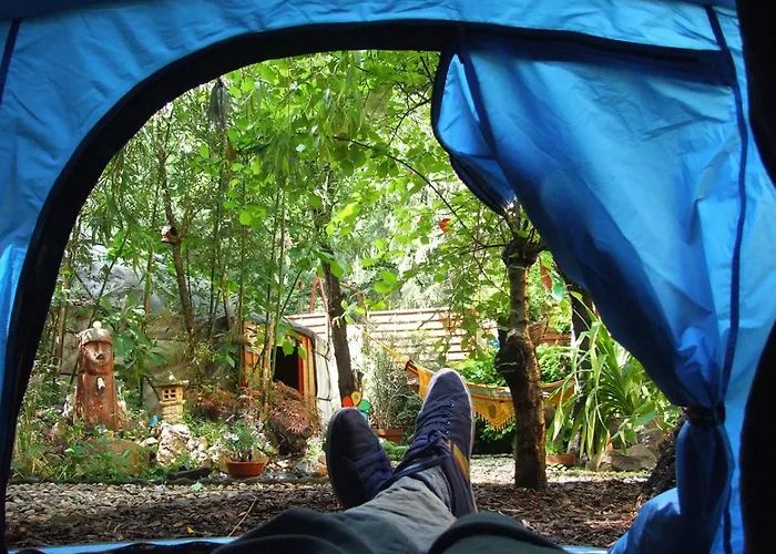 Hostel Shantee House *