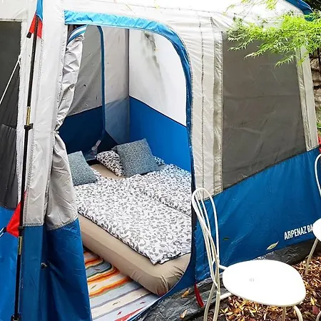 Shantee House Hostel *