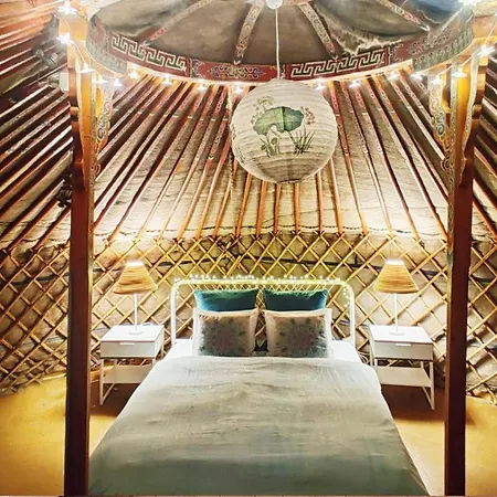بيت شباب Shantee House