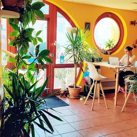 Shantee House بيت شباب *