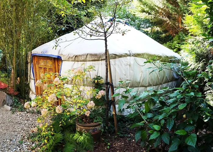 Shantee House ホステル *