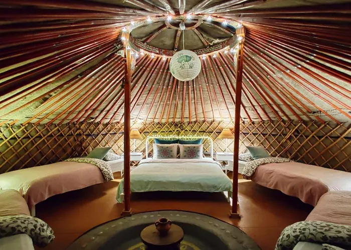 ホステル Shantee House