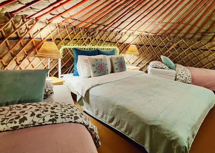 Shantee House ブダペスト