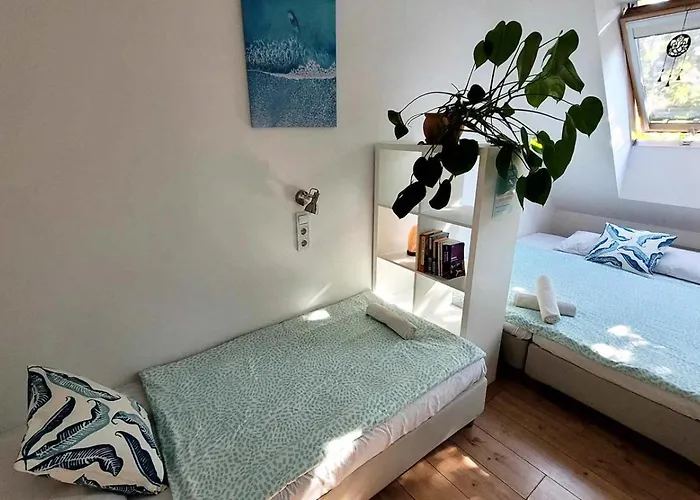 Shantee House ホステル