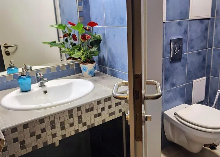 Shantee House ホステル *