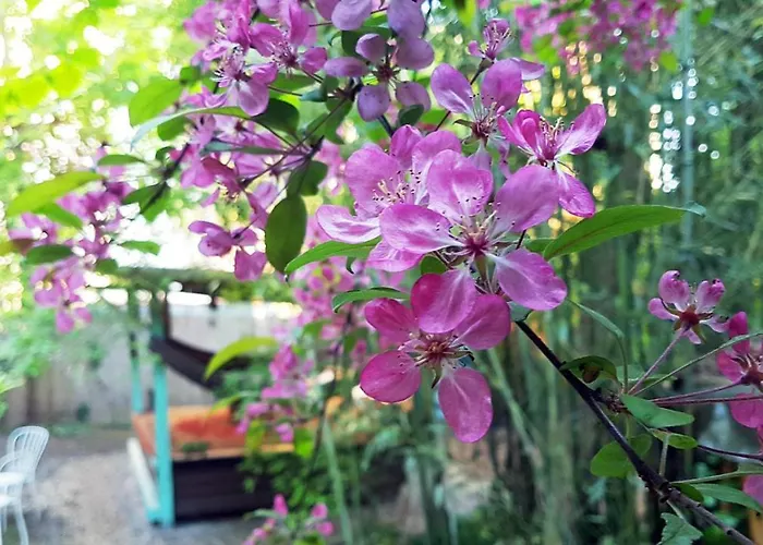 Хостел Shantee House Будапешт